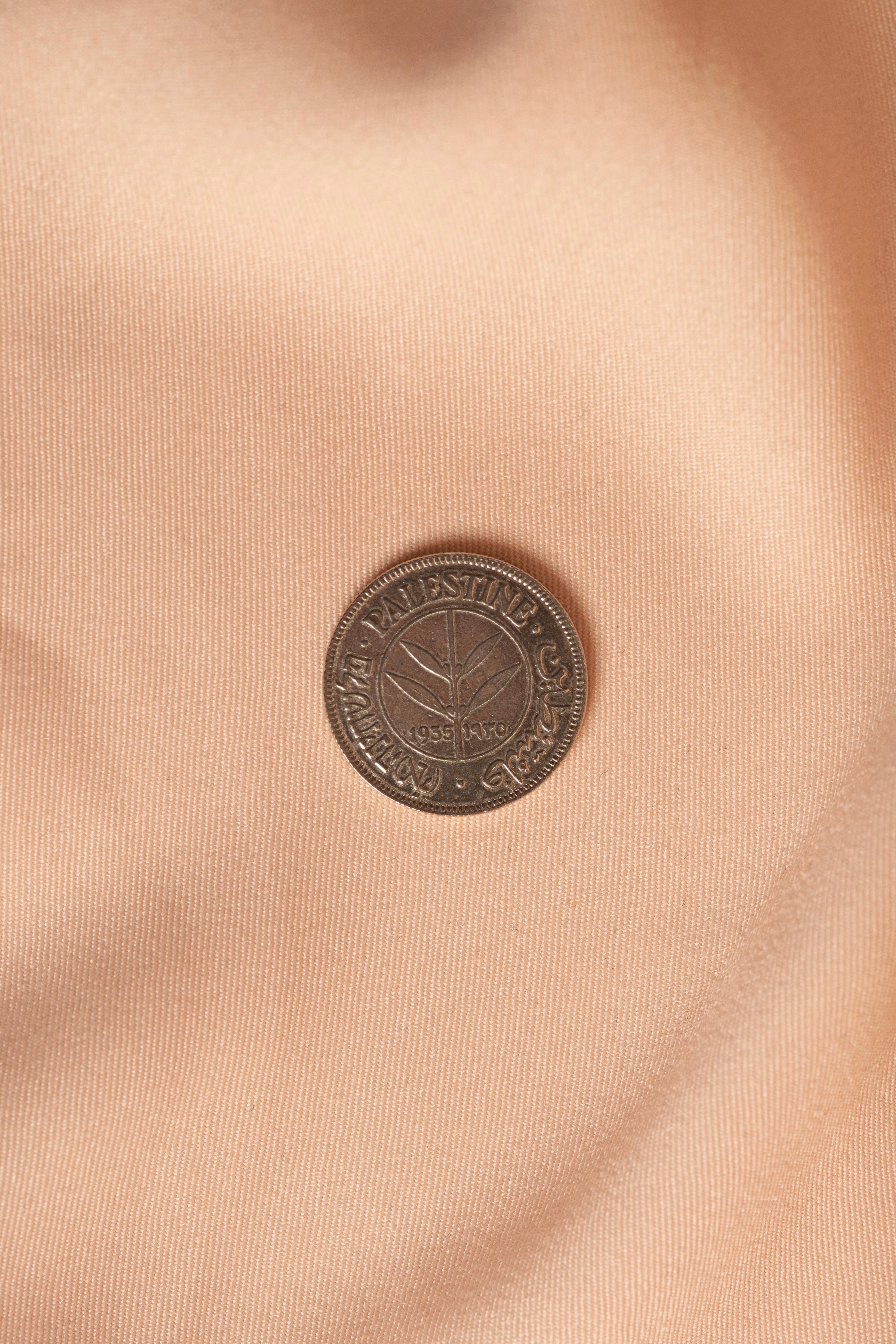 Palestinian Coin 50mil