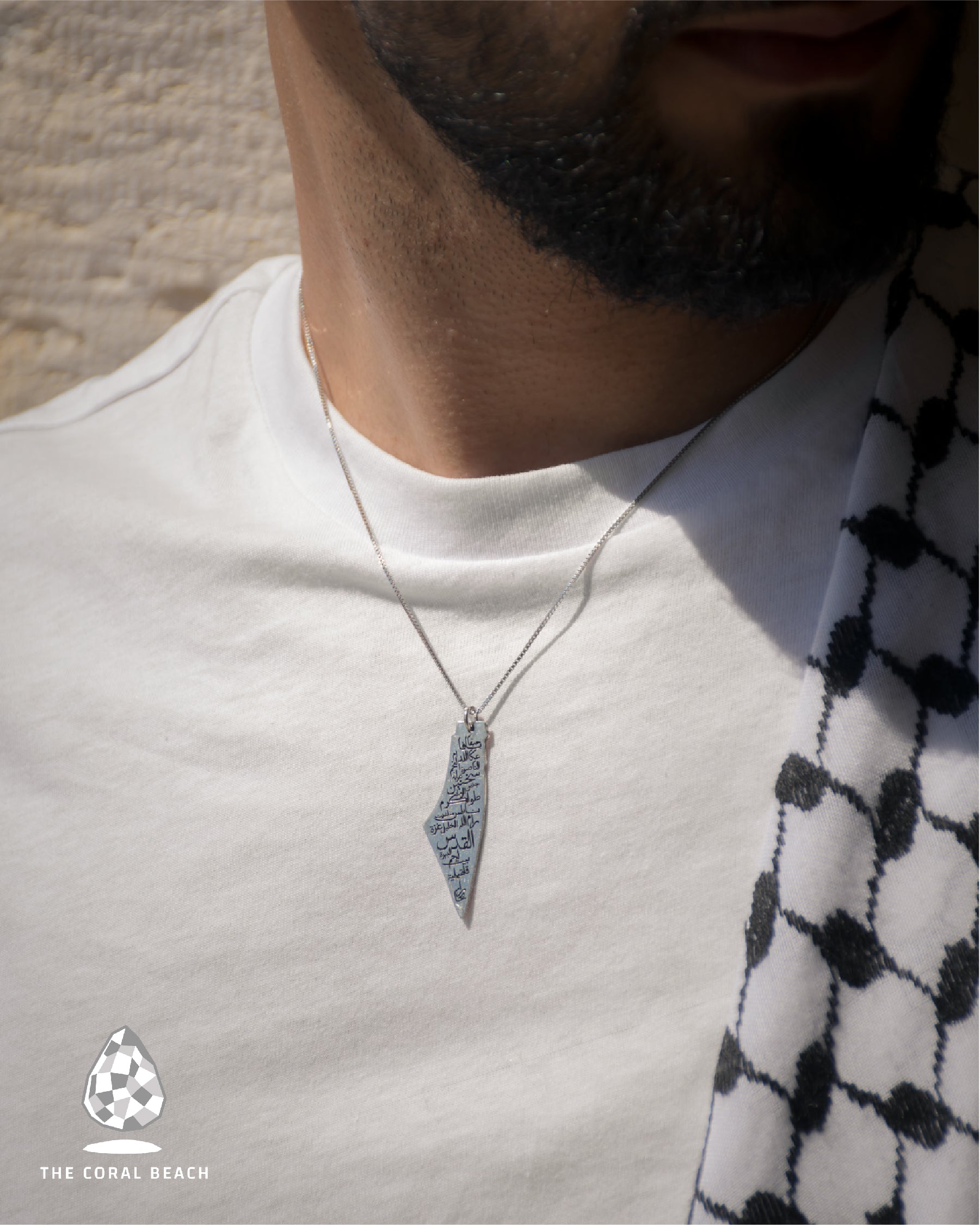 Palestine map with cities engraved inside