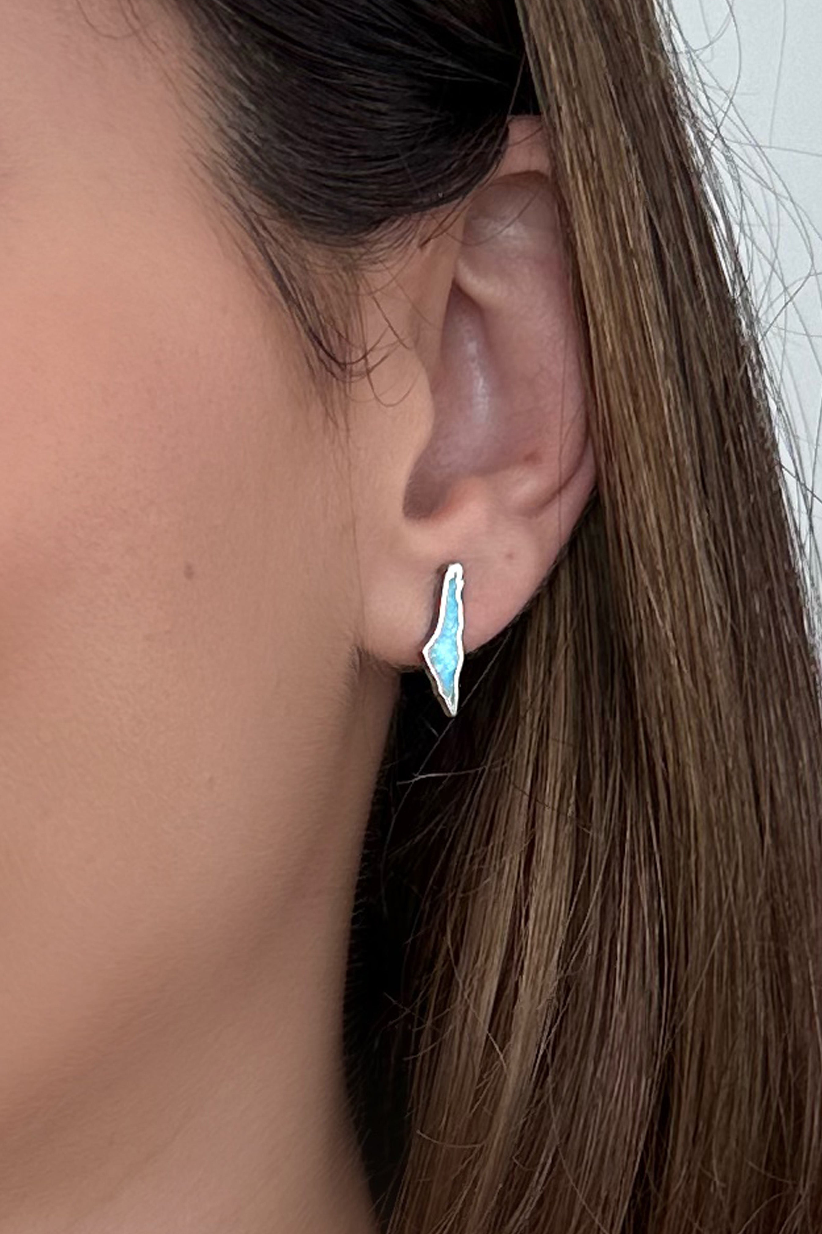 Opal Palestine map Earring