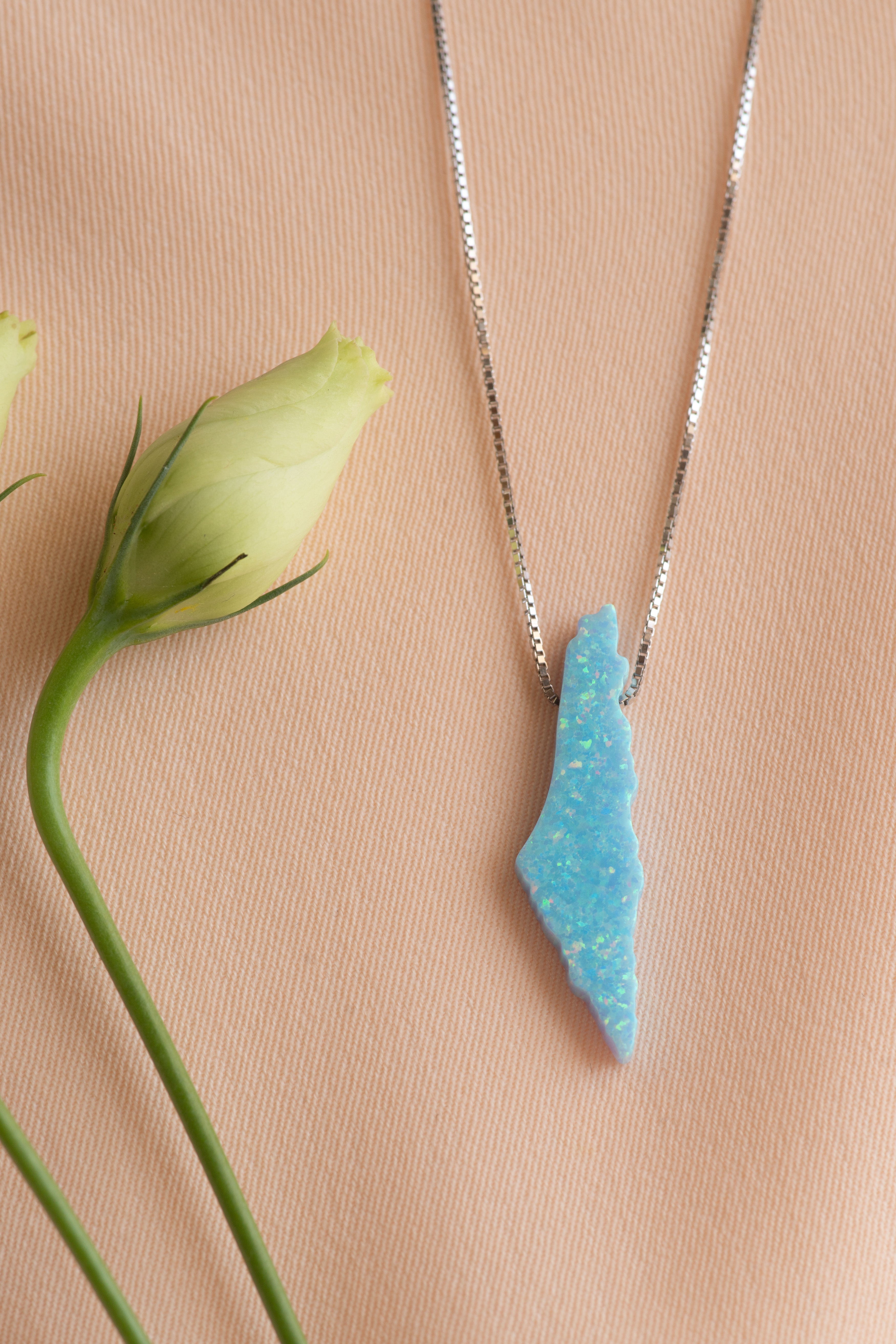 Opal Palestine map necklace