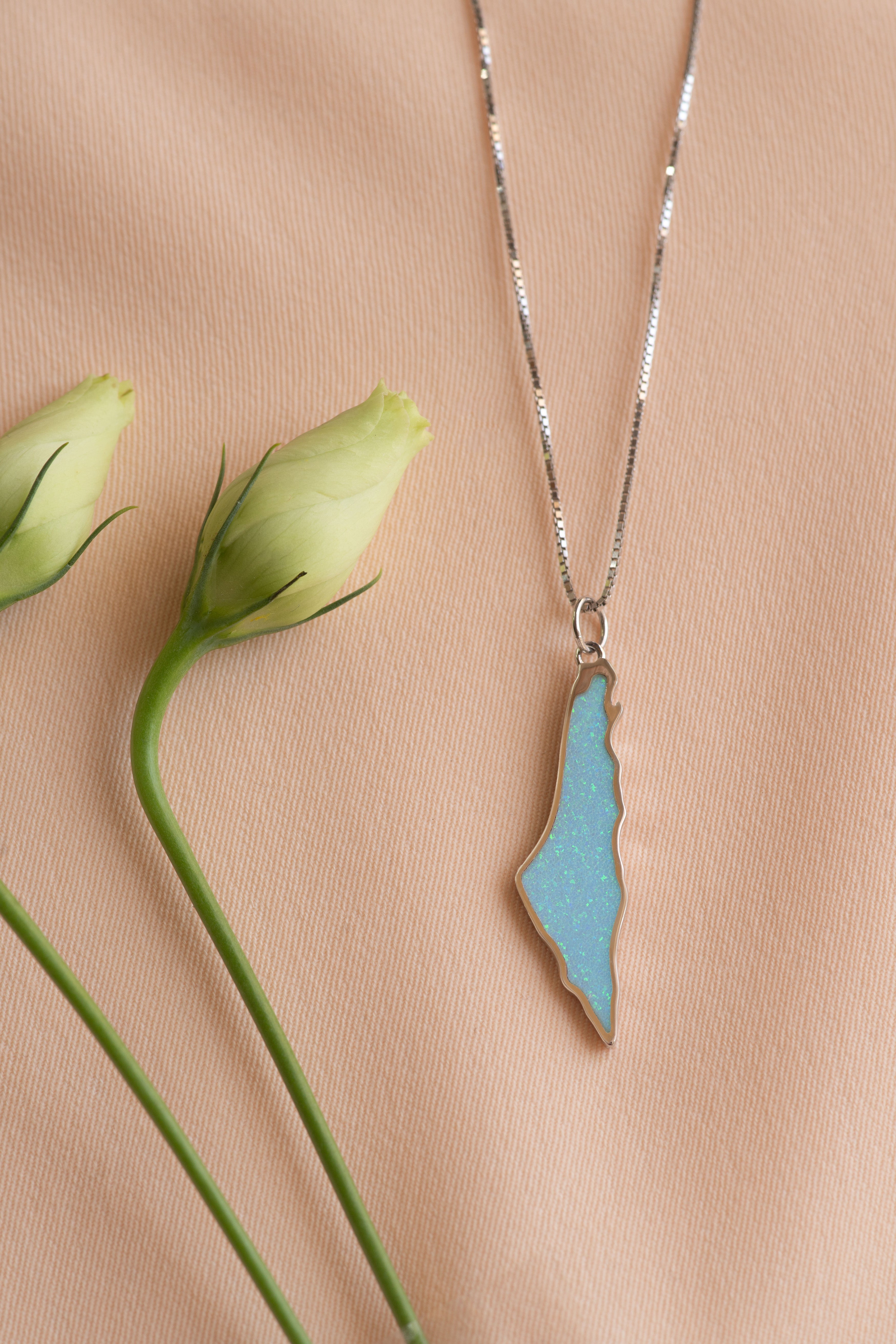 Opal Palestine map with frame necklace