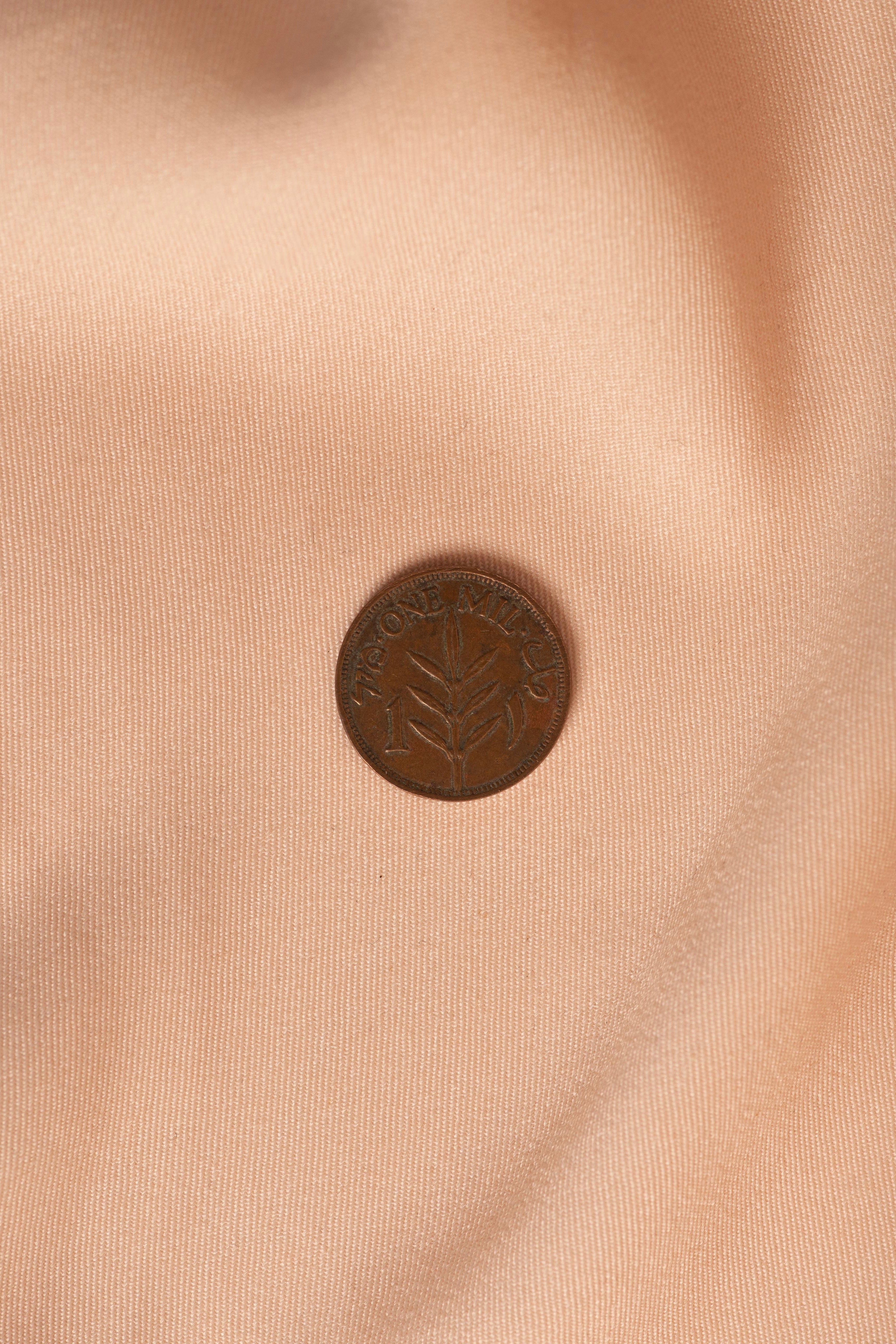 Palestinian Coin 1mil