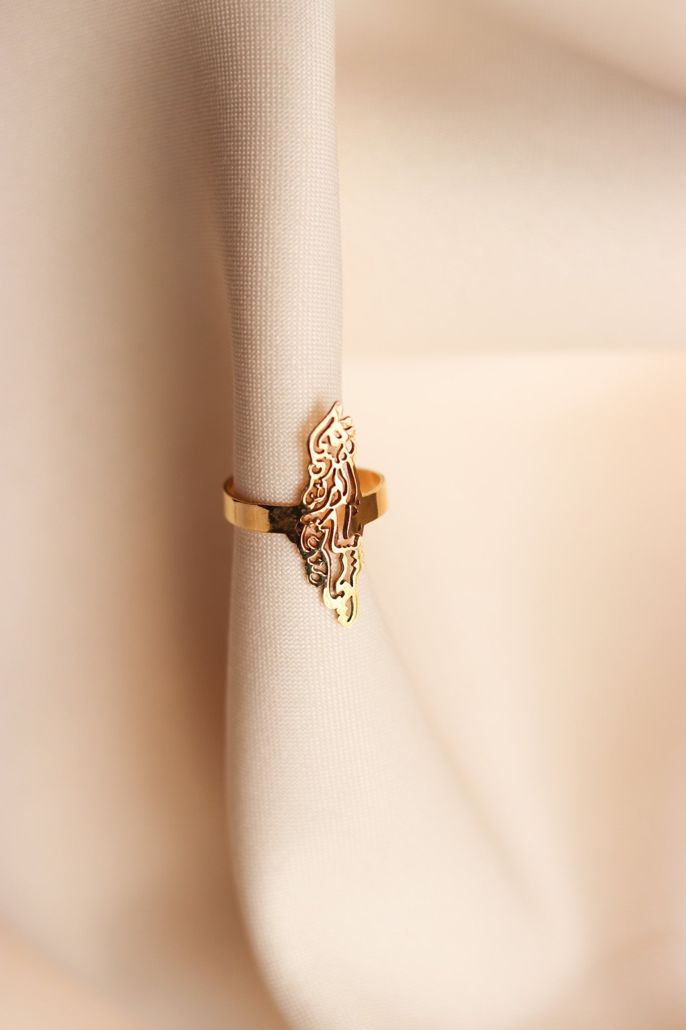 Palestine map with Palestinian famous poem written inside ring