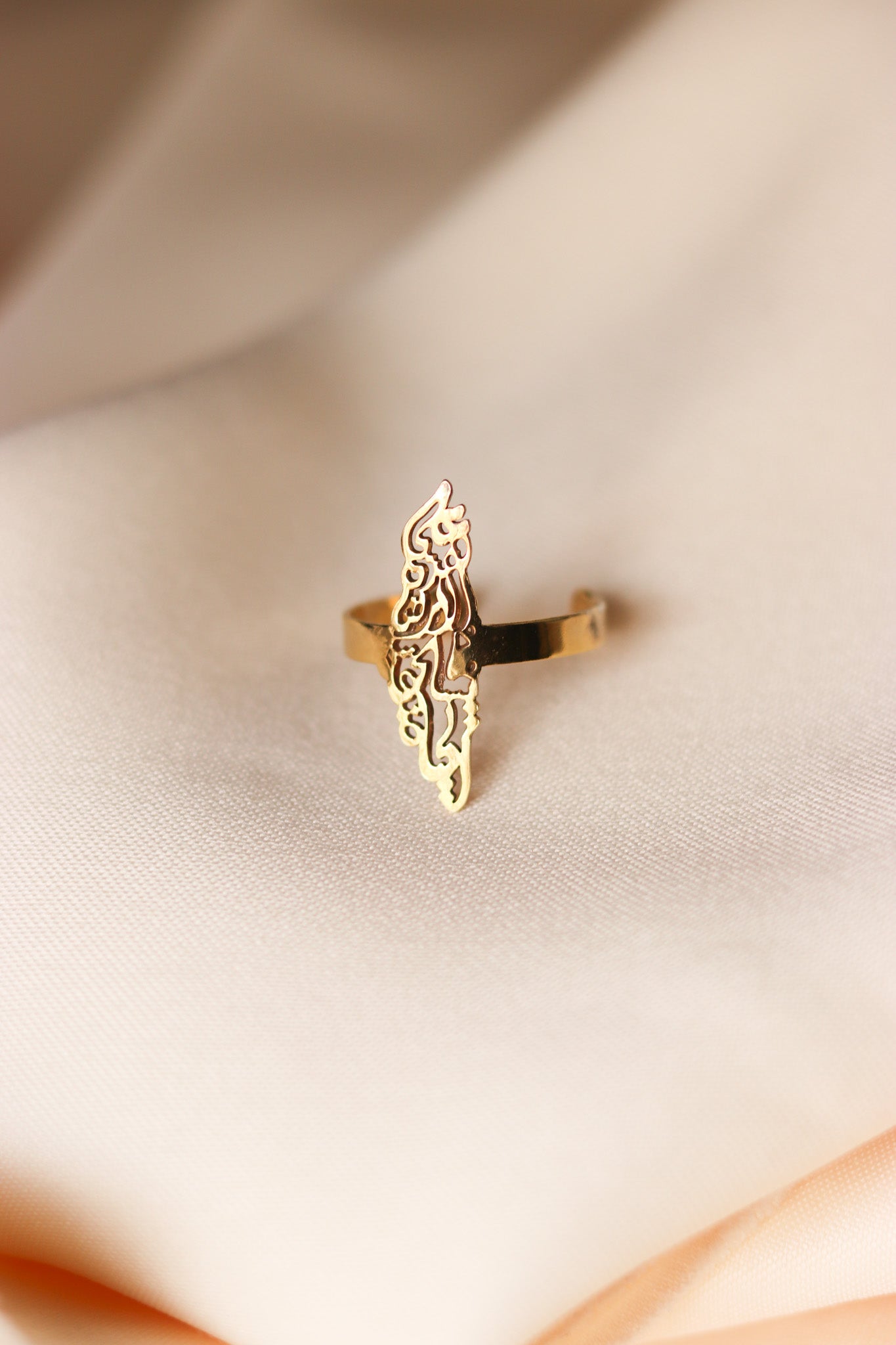 Palestine map with Palestinian famous poem written inside ring