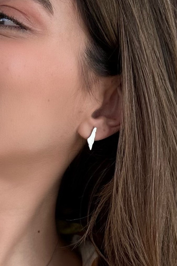 Opal Palestine map Earring