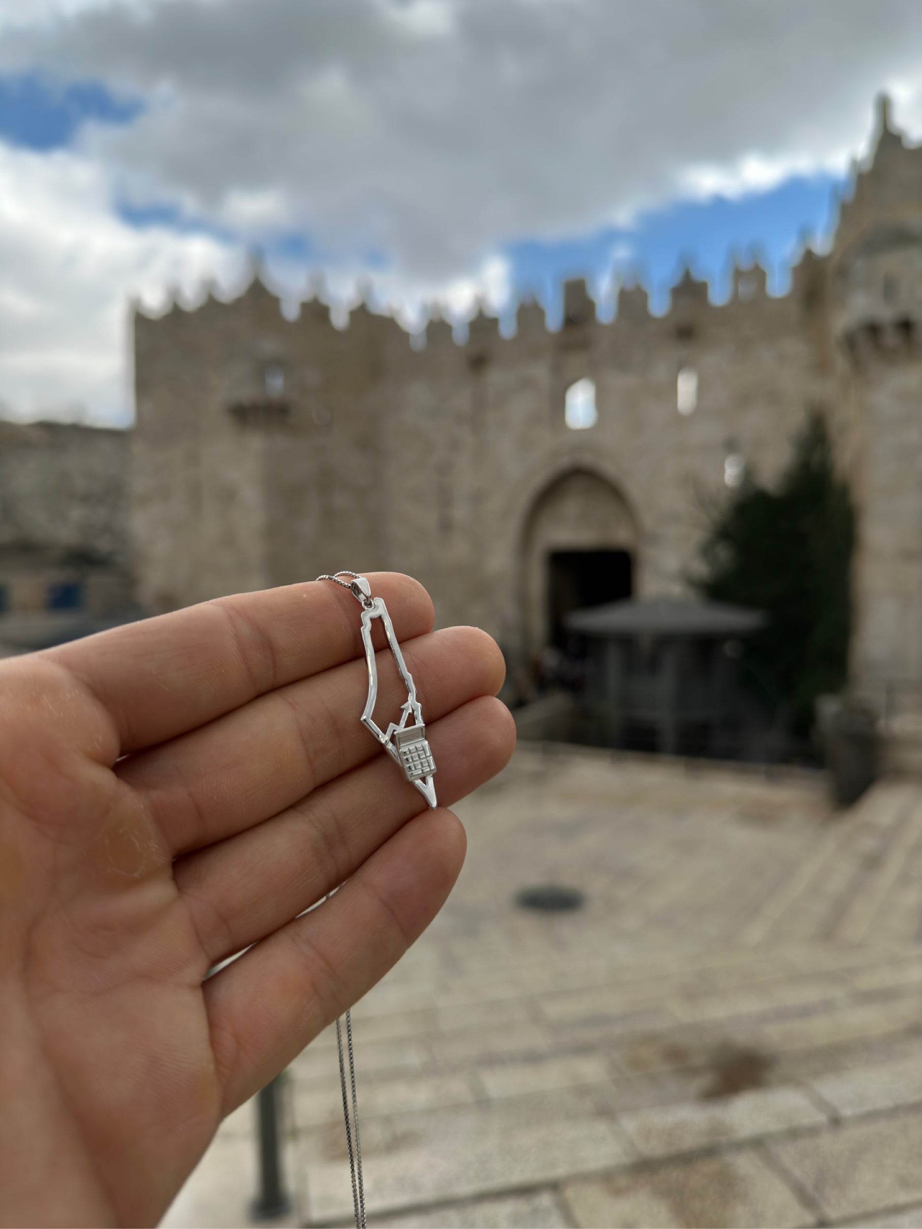 Palestinian Accountant