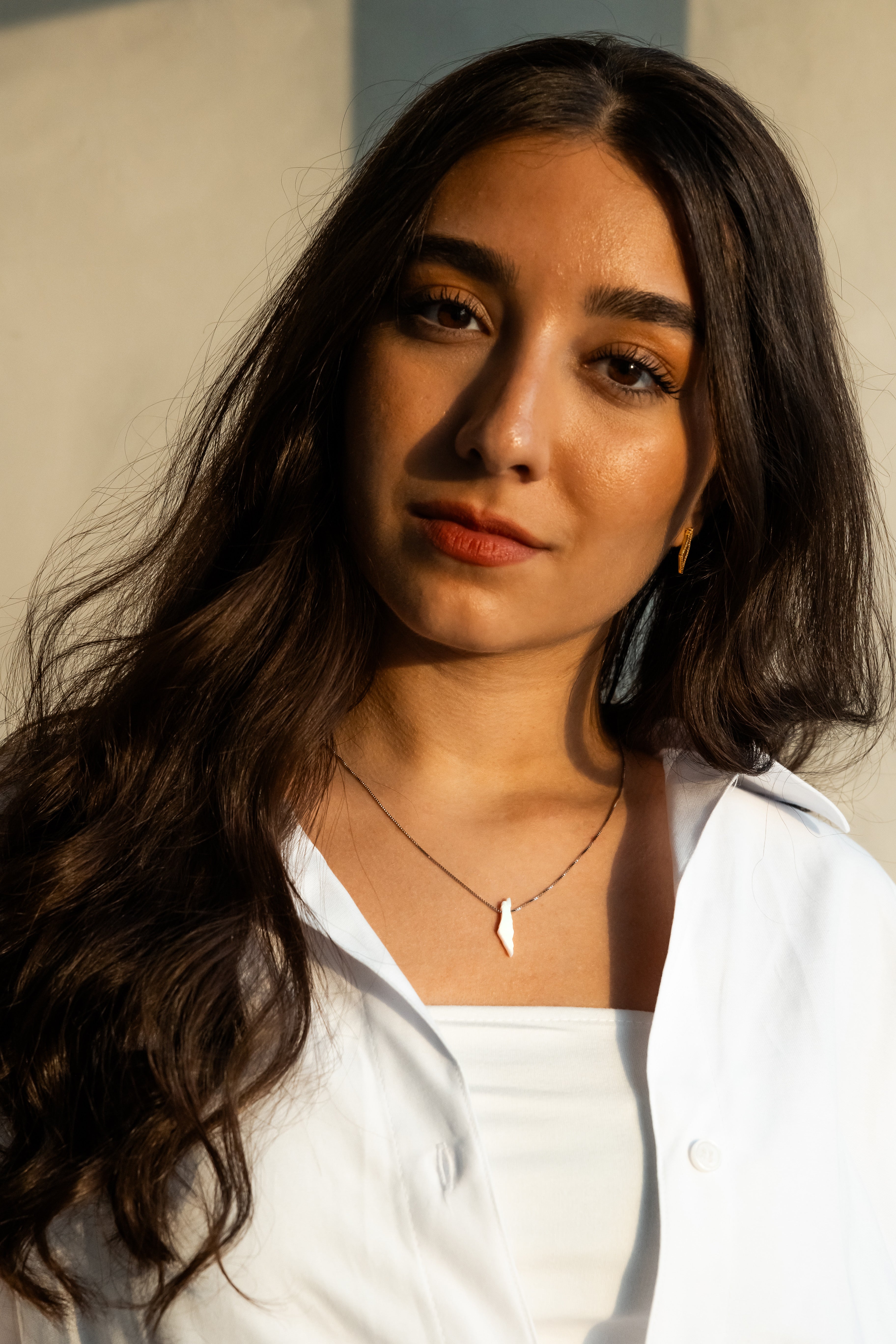Small Opal Palestine map necklace