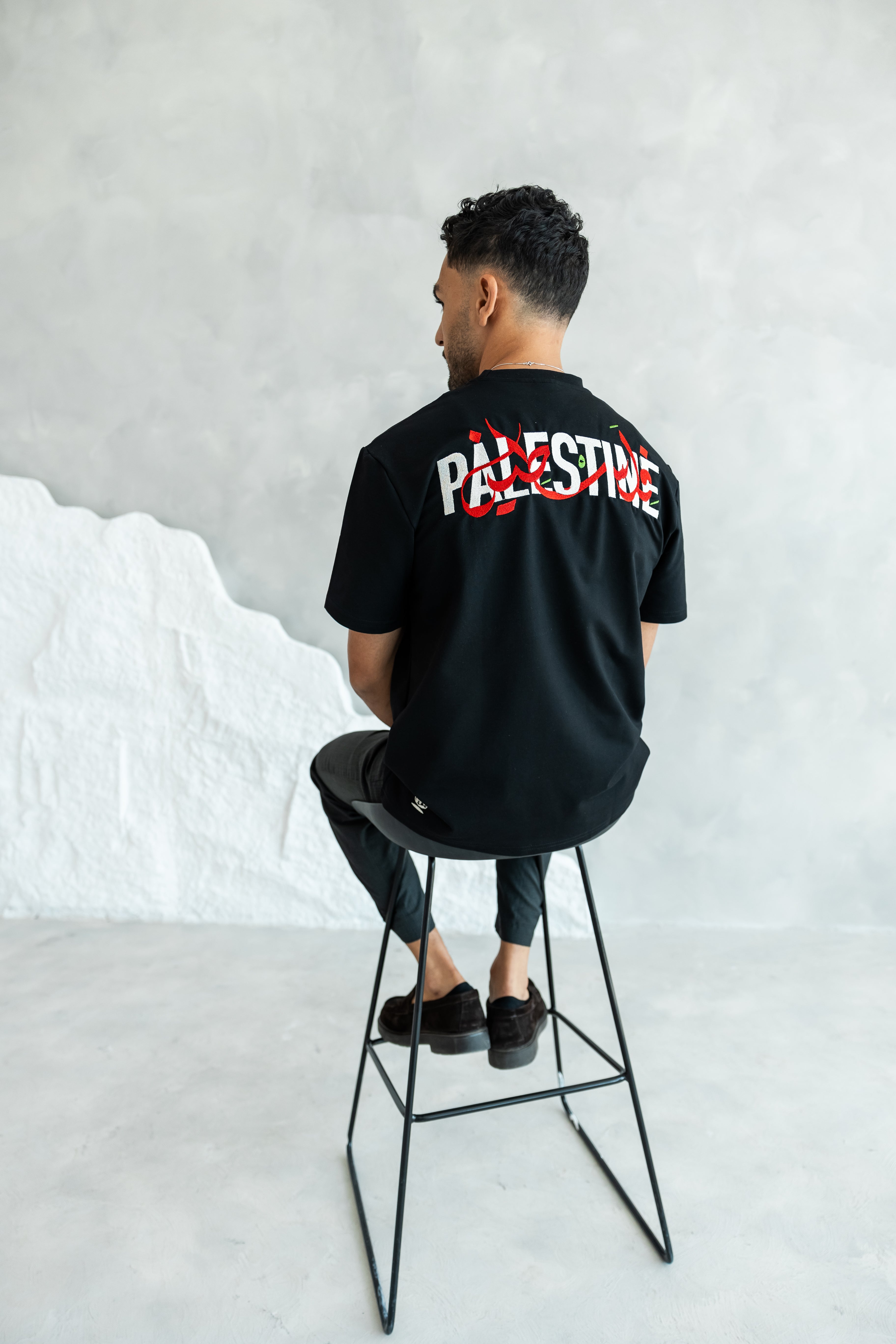 Palestine back